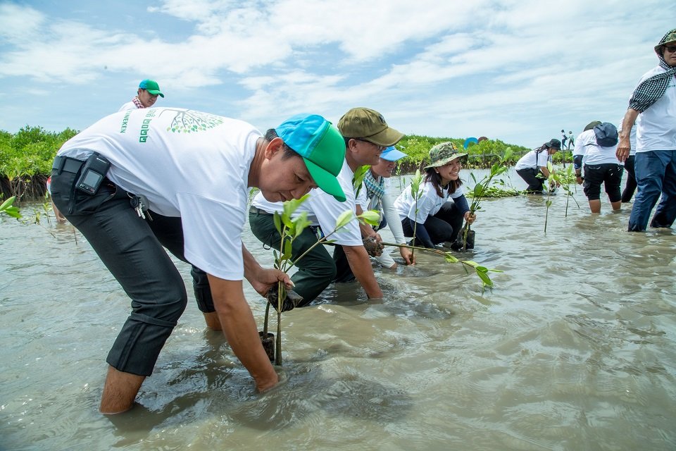 Activities of mangrove tree planning by the staff of HEINEKEN Cambodia at the Trapaeng Sangkae community