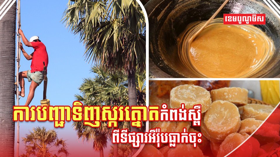 ស្ករត្នោតកំពង់ស្ពឺ