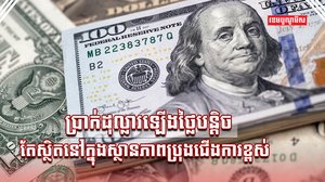 វិស័យហិរញ្ញវត្ថុ