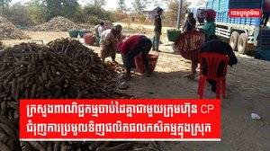 វិស័យកសិកម្ម