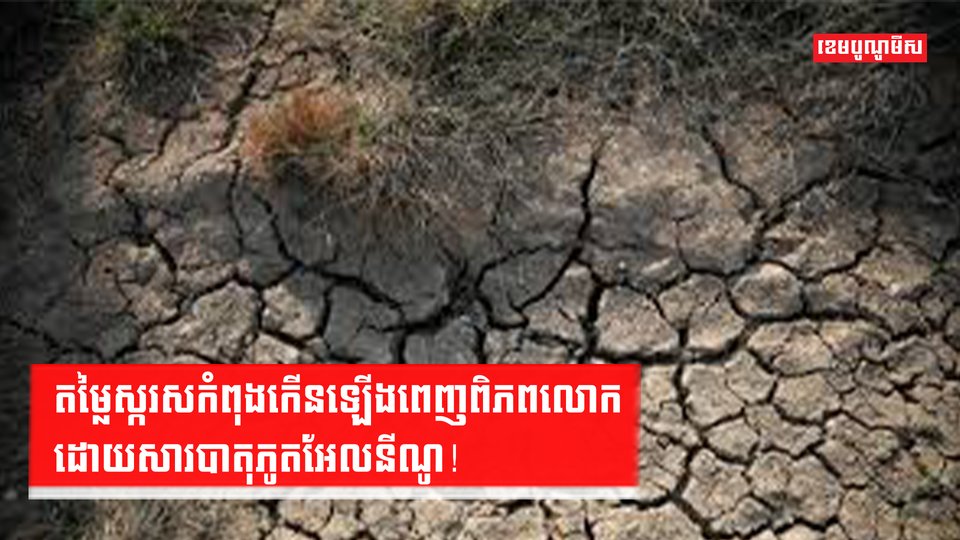 បាតុភូតអែលនីណូ