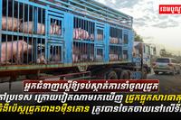 អ្នកចិញ្ចឹមសត្វ