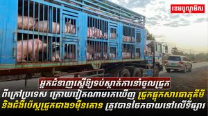 អ្នកចិញ្ចឹមសត្វ