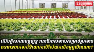 វិស័យកសិកម្ម