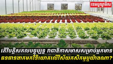 វិស័យកសិកម្ម