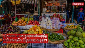 វៀតណាមមានសក្ដានុពលនាំចេញផ្លែឈើទៅអាមេរិក ប៉ុន្តែមានឧបសគ្គខ្លះៗ