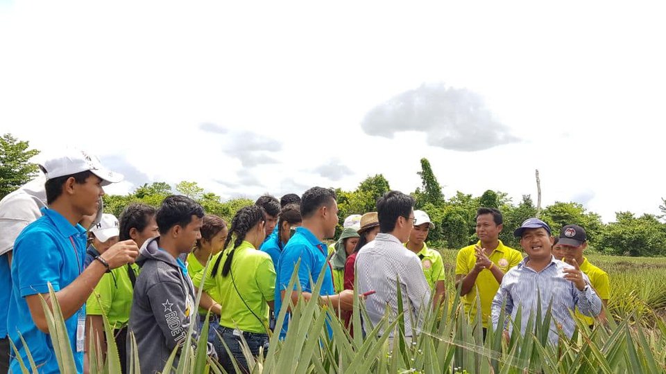 សិប្បកម្មផលិតទឹកម្នាស់ទឹកឃ្មុំស្ទឹងត្រែង មិនអាចបំពេញតម្រូវការទីផ្សារបានទៀងទាត់ ព្រោះកង្វះដើមទុន