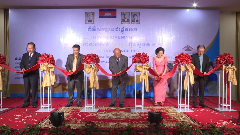 ងី តាយី