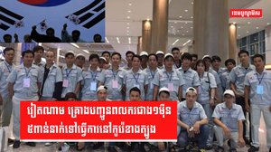 វិស័យការងារ