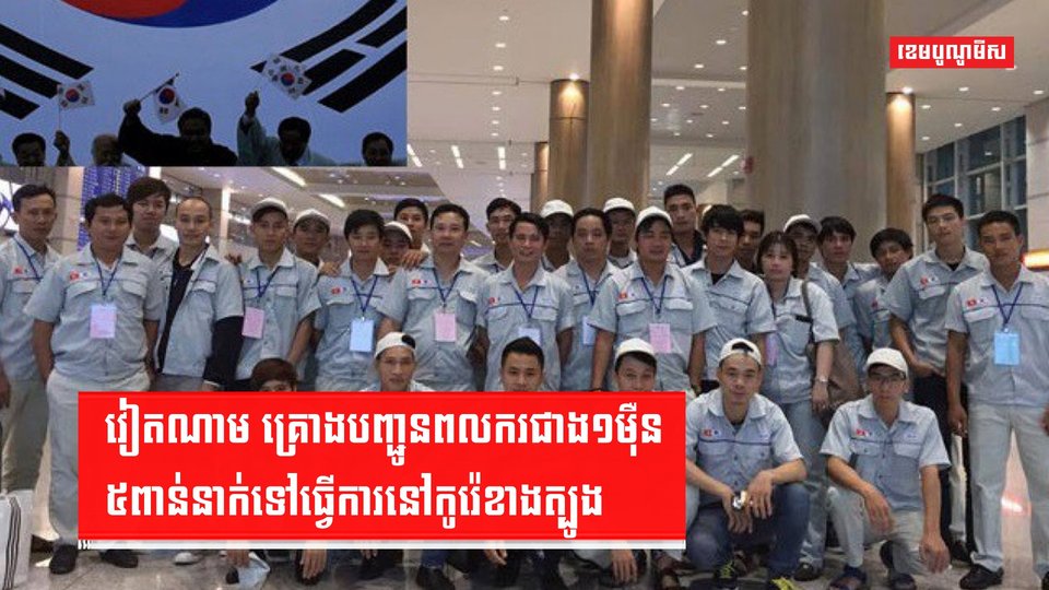 វិស័យការងារ