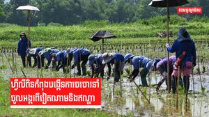 ហ្វីលីពិនកំពុងបង្កើនការចរចារនាំចូលអង្ករពីវៀតណាមនិងឥណ្ឌា