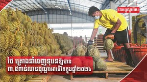 ដំណាំទុរេន