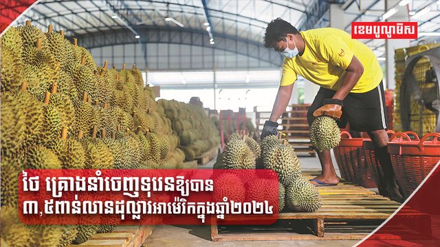 ដំណាំទុរេន