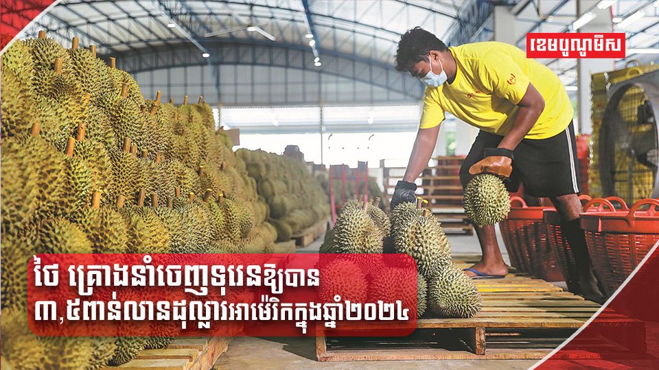 ដំណាំទុរេន