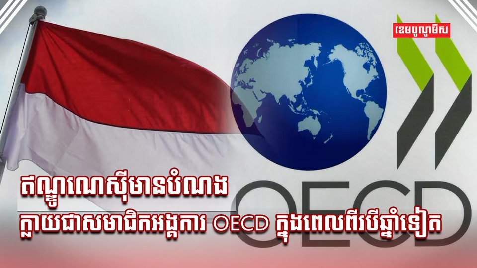 អង្គការ OECD