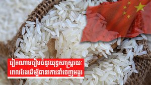 វៀតណាមរៀបចំនូវយុទ្ធសាស្រ្តរយៈពេលវែងដើម្បីធានាការនាំចេញអង្ករ