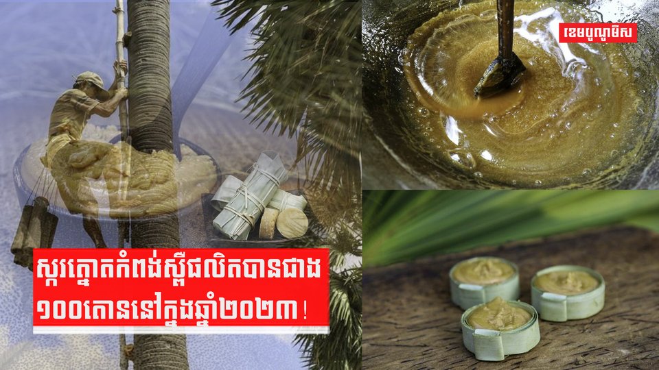 ផលិតស្ករត្នោត