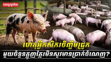 អ្នកចិញ្ចឹមជ្រូក
