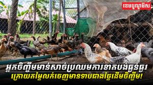 អ្នកចិញ្ចឹមសត្វ