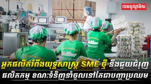 វិស័យ SME