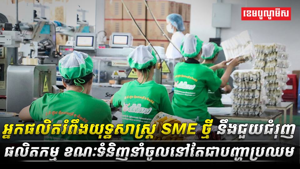 វិស័យ SME