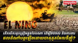 បាតុភូតអែលនីញ៉ូ