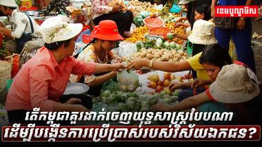 វិស័យឯកជន
