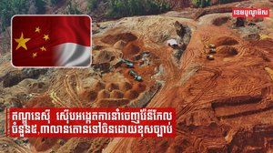 ឥណ្ឌូនេស៊ីស៊ើបអង្កេតការនាំចេញរ៉ែនីកែលចំនួន៥,៣លានតោនទៅចិនដោយខុសច្បាប់