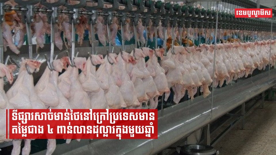 ទីផ្សារសាច់មាន់ថៃនៅក្រៅប្រទេសមានតម្លៃជាង ៤ ពាន់លានដុល្លារក្នុងមួយឆ្នាំ