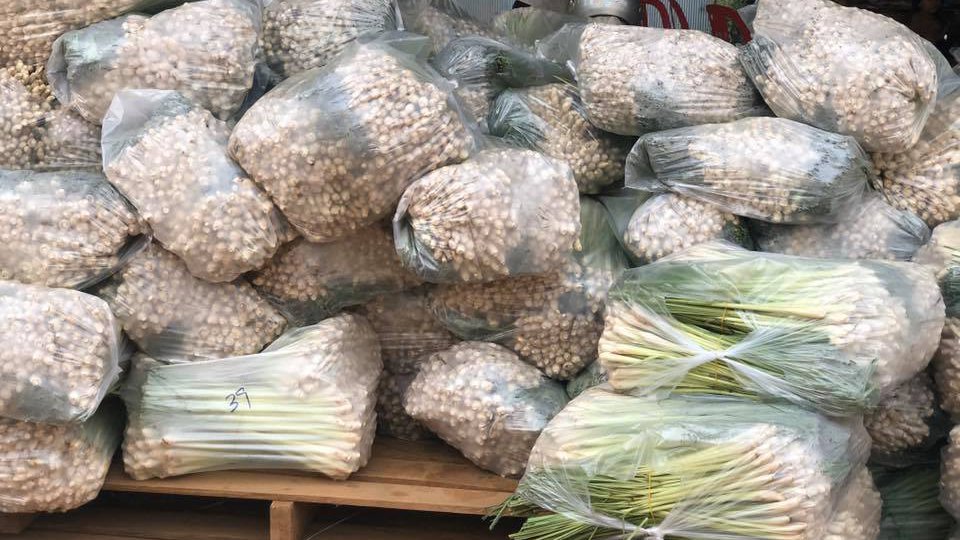 បណ្ដុំកសិករជាង១០គ្រួសារ នៅខេត្តបាត់ដំបងសម្រុកដាំស្លឹកគ្រៃ ព្រោះមានទីផ្សារនាំចេញទៅក្រៅប្រទេស