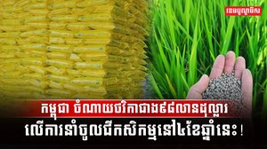 វិស័យកសិកម្ម