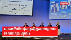 ថាមពលឥន្ធនៈ