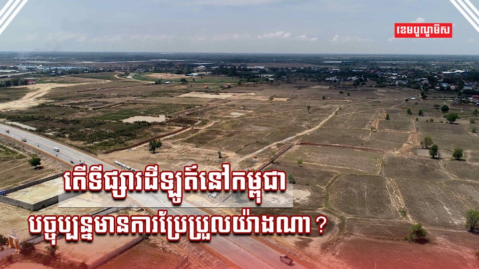 ទីផ្សារដីឡូត៍