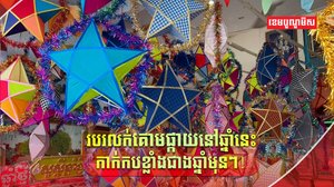គោមផ្កាយ