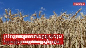 អ្នកជំនាញថា ចិនប្រហែលជាមិនរុញឱ្យរុស្ស៊ីវិលចូលកិច្ចព្រមព្រៀងគ្រាប់ធញ្ញជាតិសមុទ្រខ្មៅវិញឡើយ!
