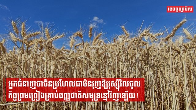 អ្នកជំនាញថា ចិនប្រហែលជាមិនរុញឱ្យរុស្ស៊ីវិលចូលកិច្ចព្រមព្រៀងគ្រាប់ធញ្ញជាតិសមុទ្រខ្មៅវិញឡើយ!
