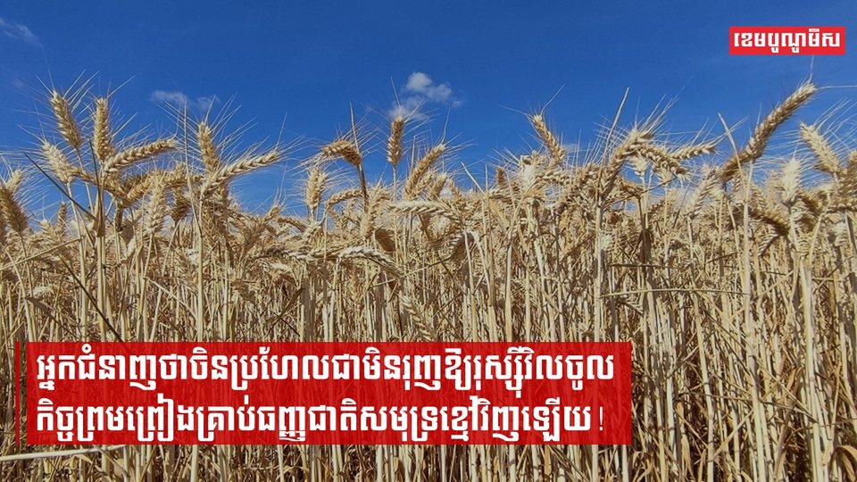 អ្នកជំនាញថា ចិនប្រហែលជាមិនរុញឱ្យរុស្ស៊ីវិលចូលកិច្ចព្រមព្រៀងគ្រាប់ធញ្ញជាតិសមុទ្រខ្មៅវិញឡើយ!