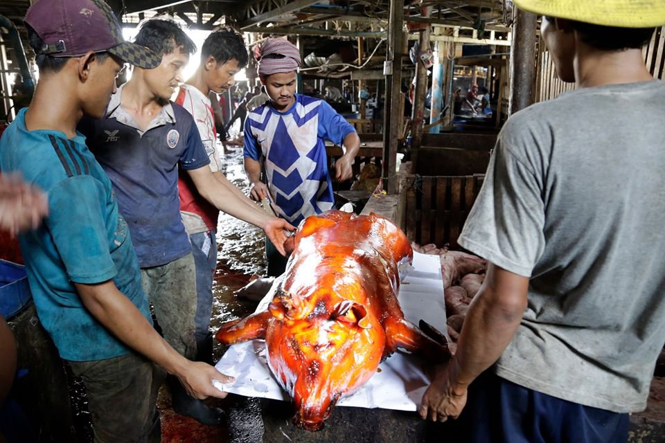 អ្នកលក់ជ្រូកខ្វៃ៖ ឆ្នាំនេះ ជ្រូកឡើងថ្លៃគុណនឹង២ តែអ្នកទិញនៅតែសម្រុកទិញដដែល