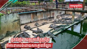 អ្នកចិញ្ចឹមក្រពើ
