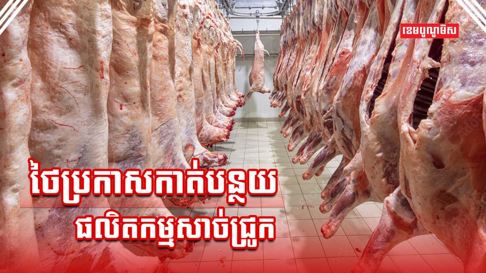 អ្នកចិញ្ចឹមជ្រូក
