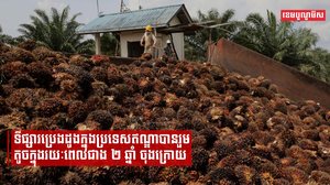 ទីផ្សារប្រេងដូងក្នុងប្រទេសឥណ្ឌាបានរួមតូចក្នុងរយៈពេលជាង ២ ឆ្នាំ ចុងក្រោយ