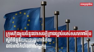 ក្រុមហ៊ុនមួយចំនួនថា សេចក្តីព្រាងច្បាប់របស់សហភាពអឺរ៉ុបស្ដីពីទិន្នន័យបានបង្កហានិភ័យដល់អាថ៌កំបាំងពាណិជ្ជកម្ម