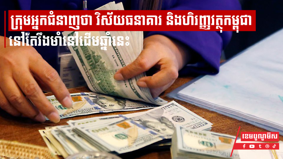 ក្រុមអ្នកជំនាញថា វិស័យធនាគារ និងហិរញ្ញវត្ថុកម្ពុជានៅតែរឹងមាំនៅដើមឆ្នាំនេះ