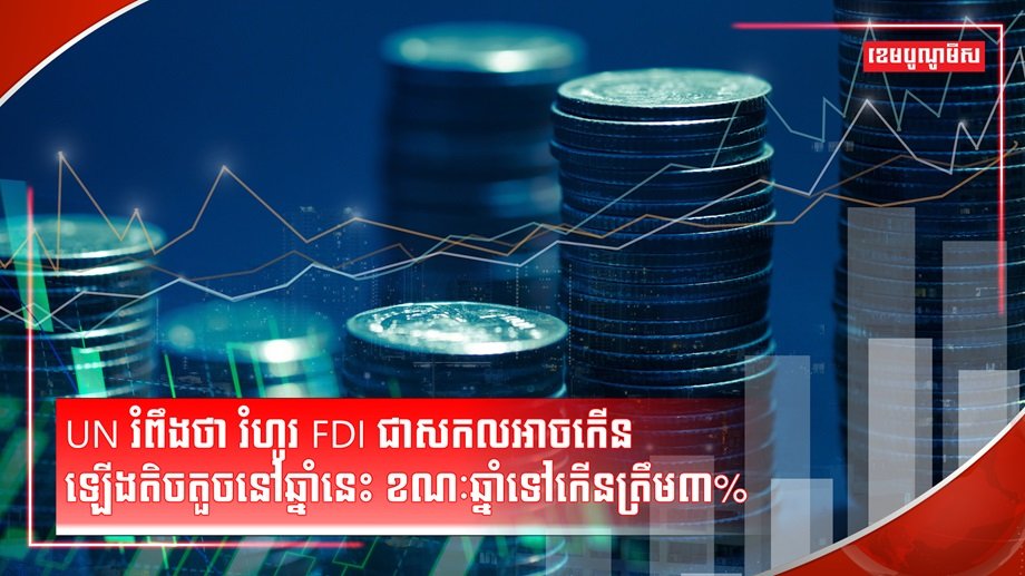 គម្រោងវិនិយោគ