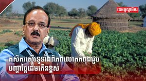វិស័យកសិកម្ម