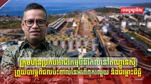 វិស័យរ៉ែ