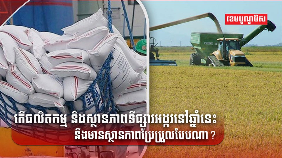 ទីផ្សារអង្ករ