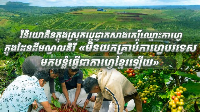 វិនិយោគិនក្នុងស្រុកប្តេជ្ញាកសាងកេរ្តិ៍ឈ្មោះកាហ្វេក្នុងដែនដីមណ្ឌលគិរី «មិនយកគ្រាប់កាហ្វេបរទេស មកបន្លំធ្វើជាកាហ្វេខ្មែរឡើយ»