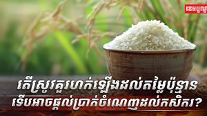 វិស័យ កសិកម្ម