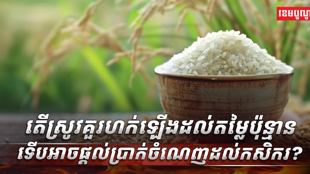 វិស័យ កសិកម្ម